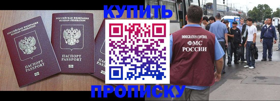 прописка 2025 в Ельне
